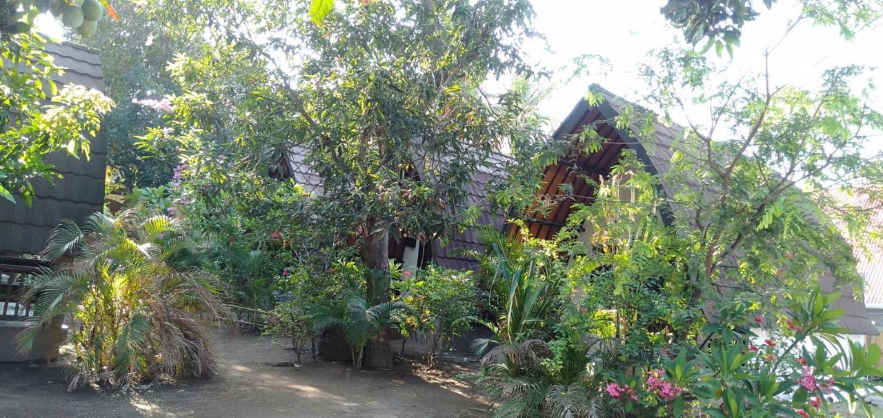 Hello Lumbung Homestay Gili Air Bagian luar foto